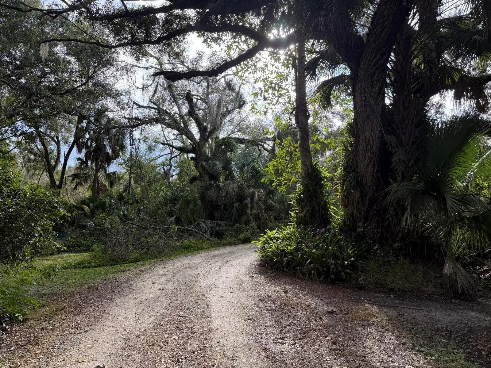 535 SE 80th Avenue, Okeechobee FL 34974 photo 4