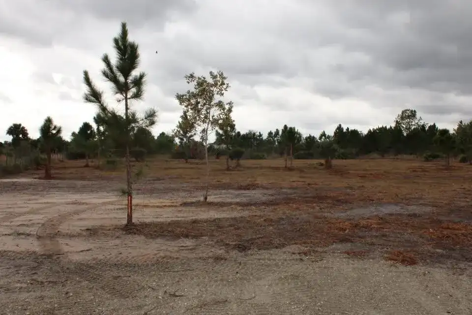 18134 NW 298th Street, Okeechobee FL 34972 photo 3