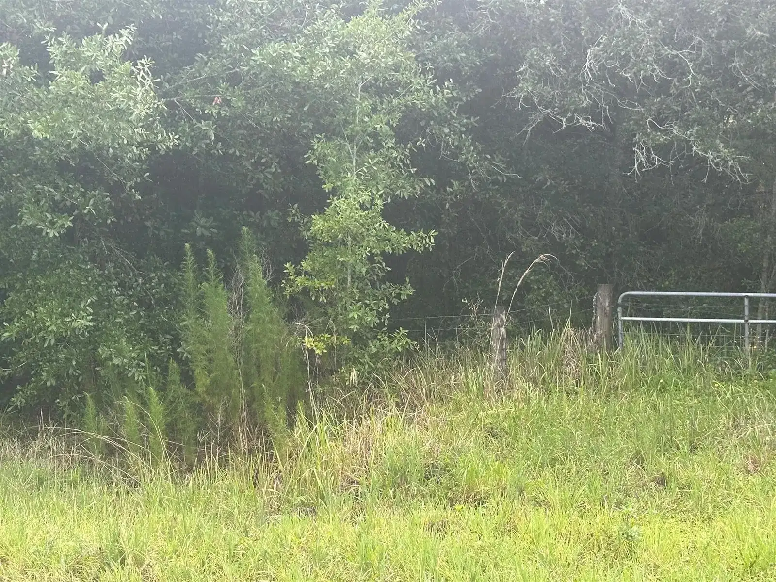 16687 NW 38th Avenue, Okeechobee FL 34972 photo 5