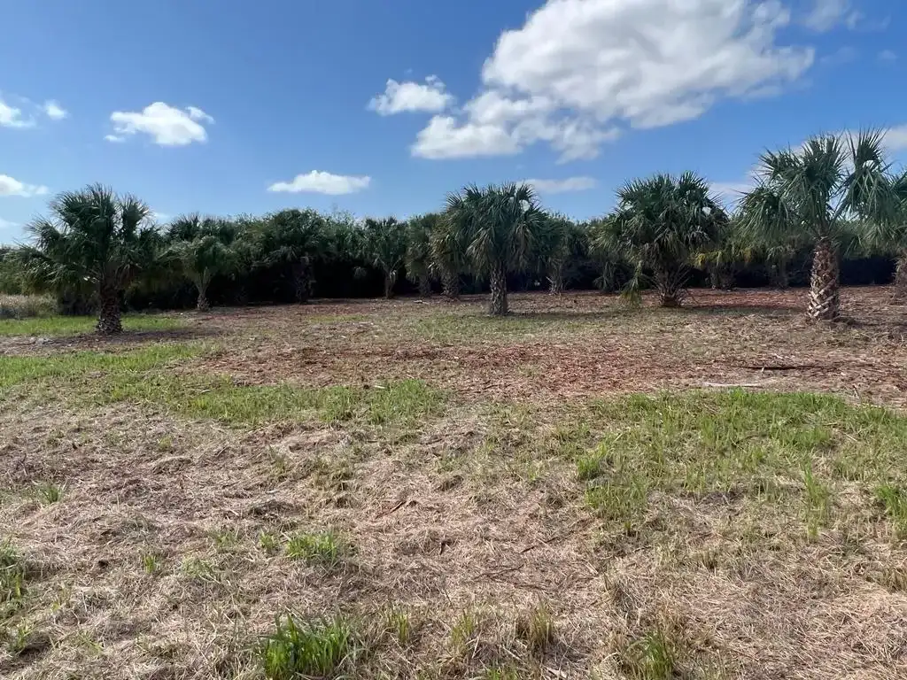 2182 Sparta Avenue SW, Palm Bay FL 32908