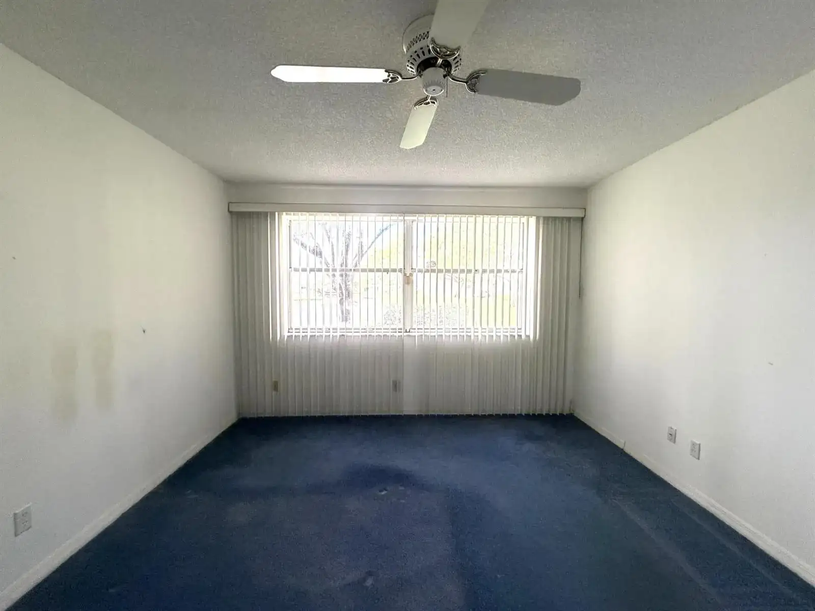10382 NW 24th Place # 104, Sunrise FL 33322 photo 5