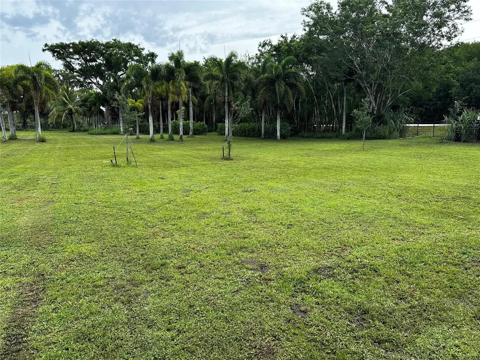 15600 SW Conners Highway, Okeechobee FL 34974 photo 4