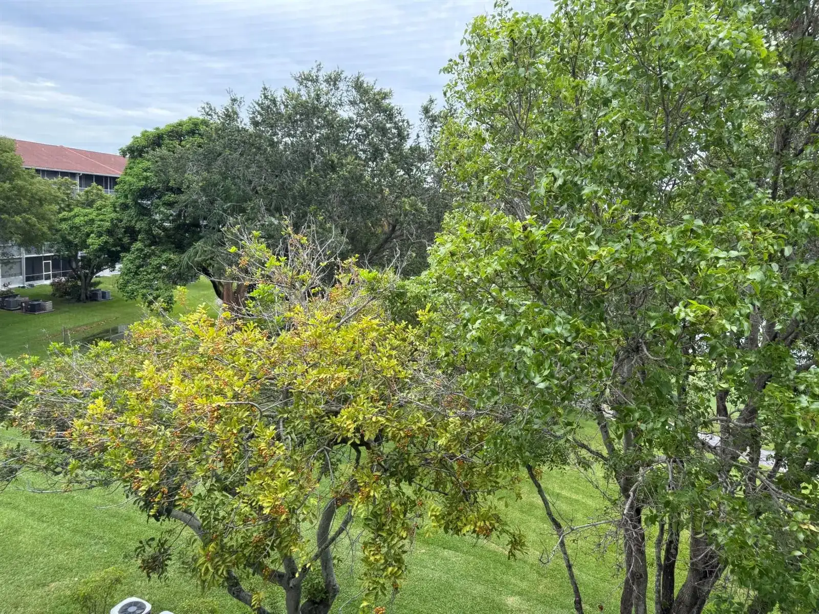 301 SW 135th Avenue # 404c, Pembroke Pines FL 33027