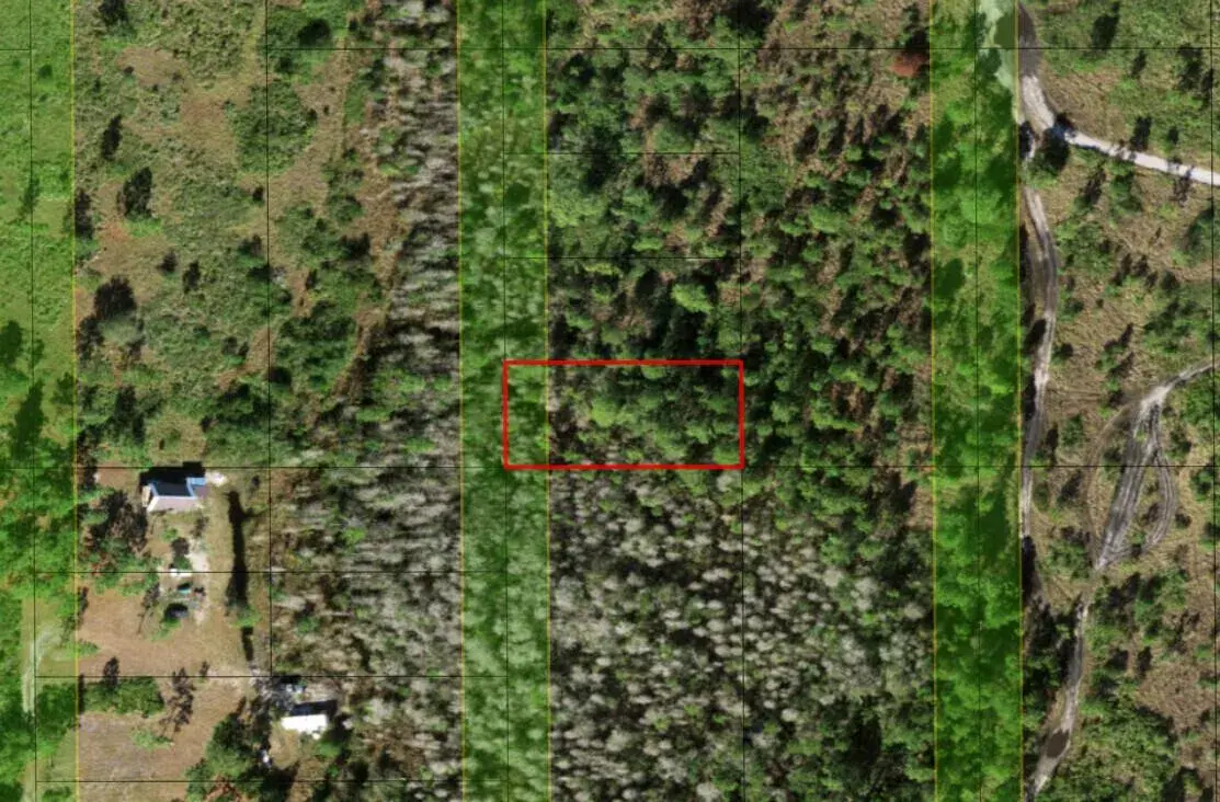 0 Holopaw Groves Road, FL 34772