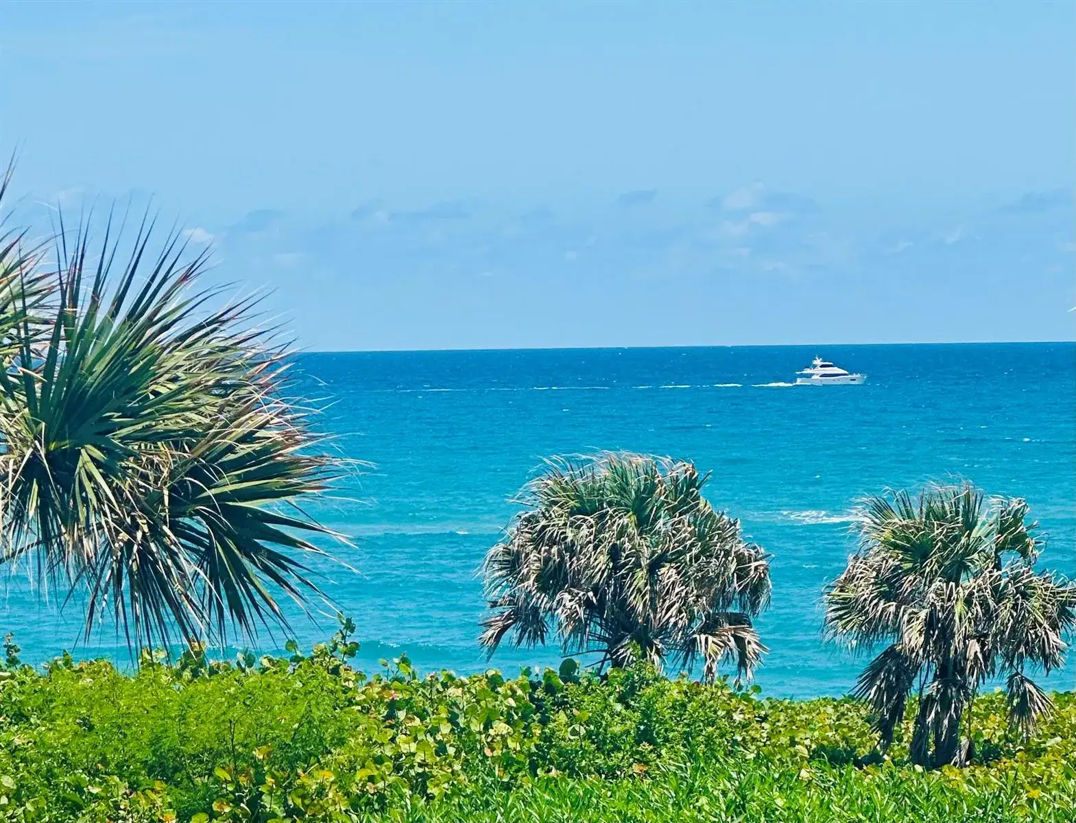 420 Celestial Way # 303, Juno Beach FL 33408 photo 3