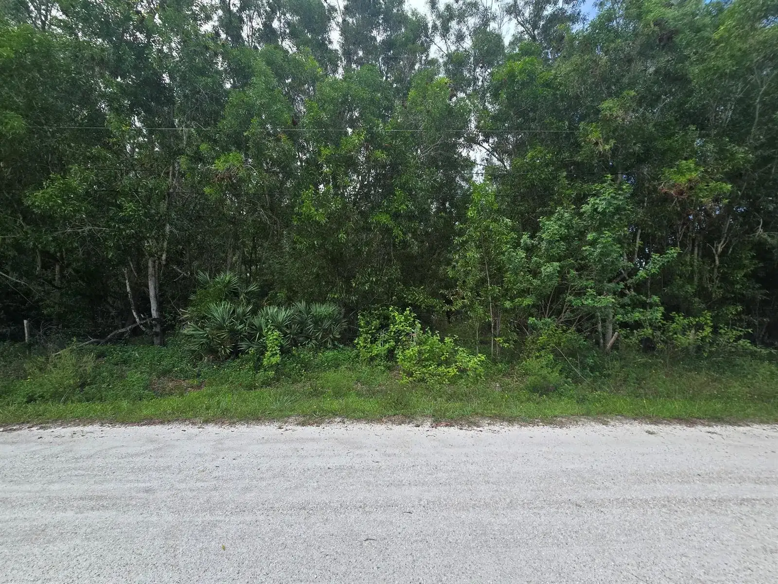17665 46th Court N, FL 33470 photo 5