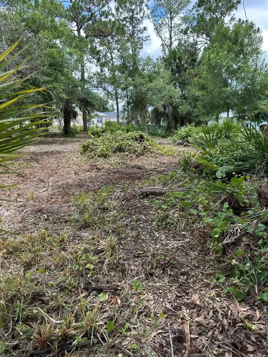 9125 106TH Avenue, Vero Beach FL 32967 photo 5
