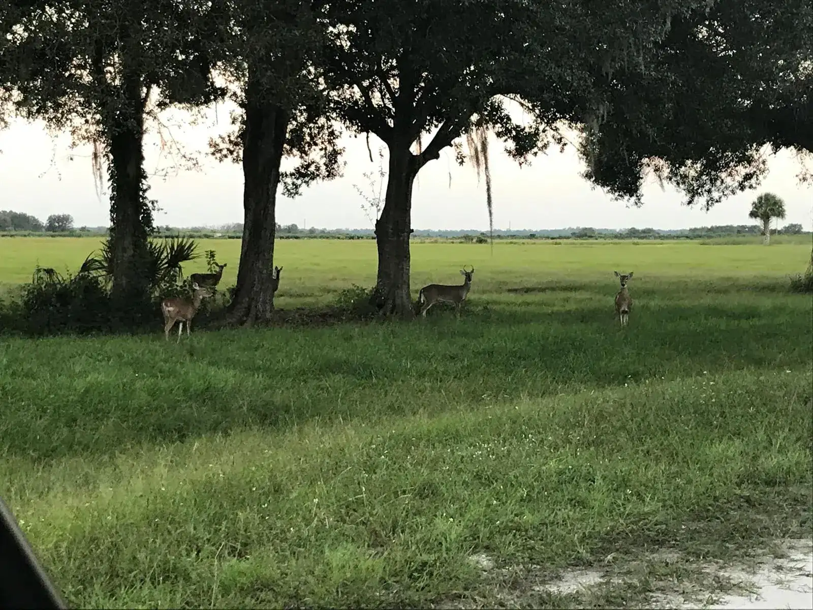 32801 US Hwy 441 N, Okeechobee FL 34972 photo 3