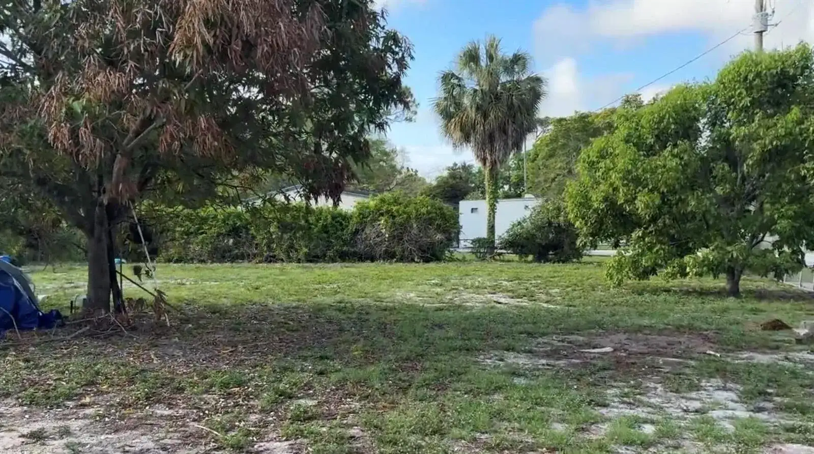 718 Fergusson Lane, West Palm Beach FL 33415 photo 3