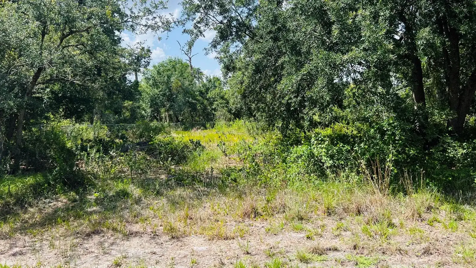 3155 MILLER Avenue, Lake Placid FL 33852