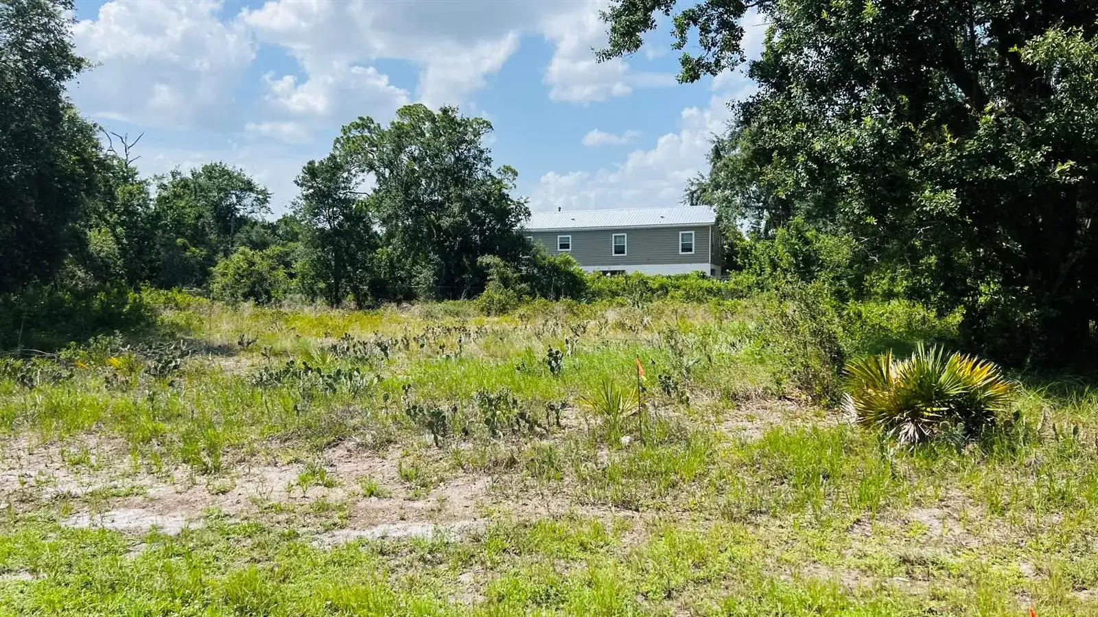 3151 MILLER Avenue, Lake Placid FL 33852