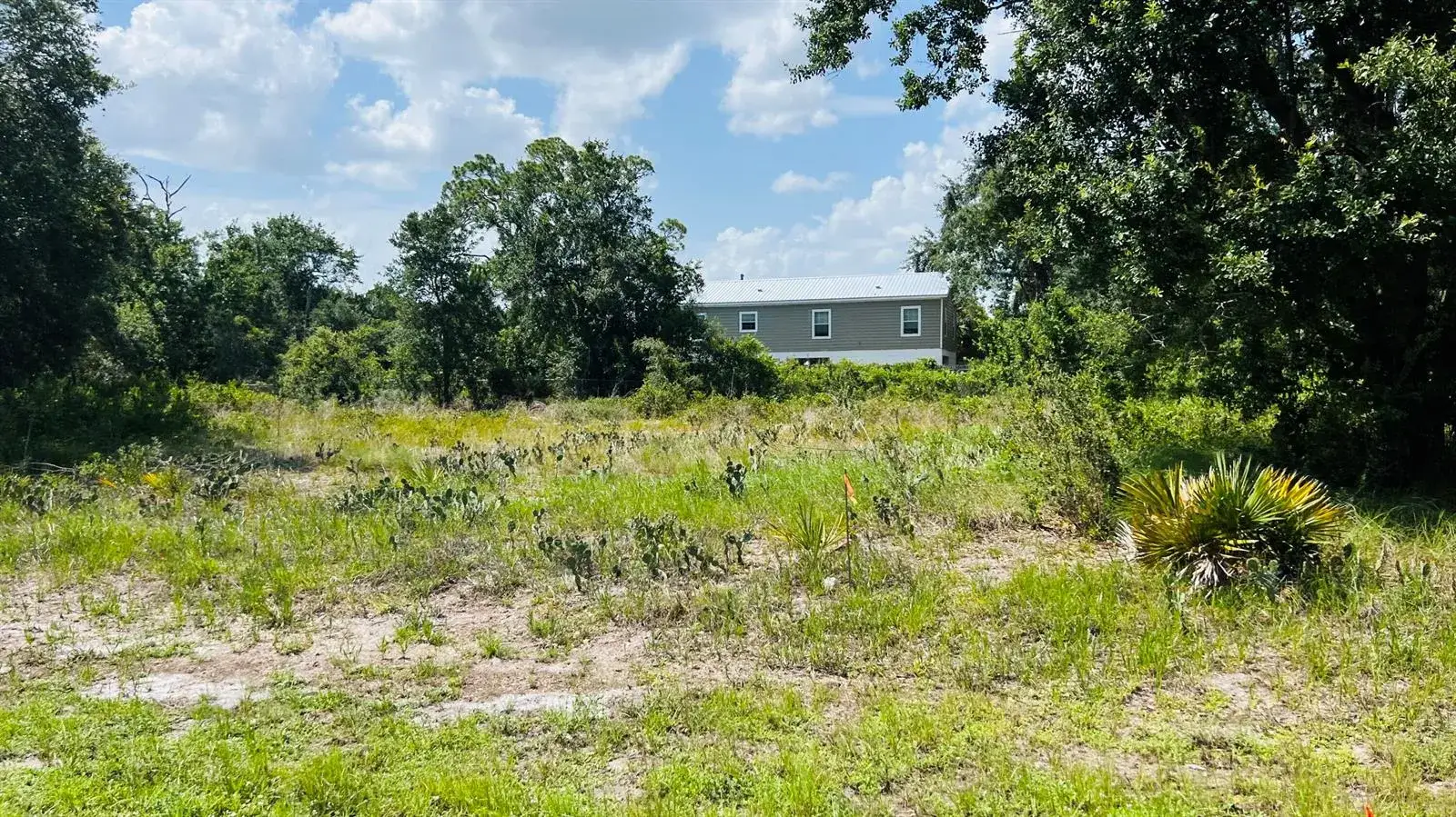 3151 MILLER Avenue, Lake Placid FL 33852