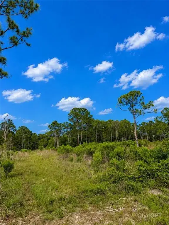 2320 82ND Avenue SW, Vero Beach FL 32968 photo 4