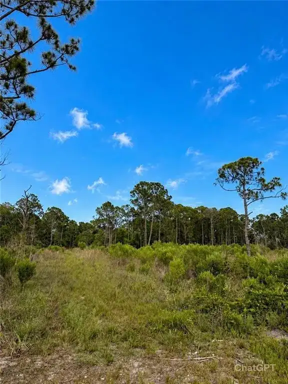 2320 82ND Avenue SW, Vero Beach FL 32968 photo 5