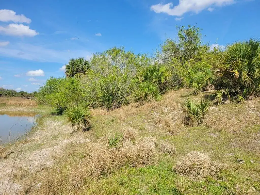 0 Cabbage Drive, Okeechobee FL 34974 photo 5