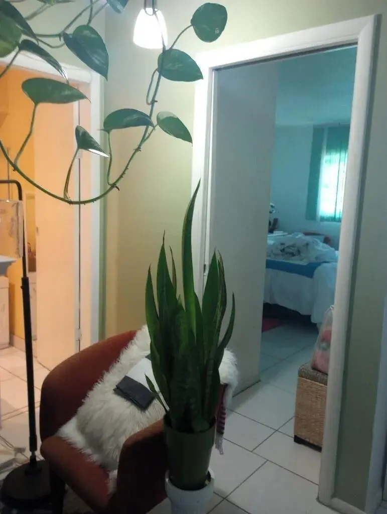 1250 E SAMPLE Road # 307, Pompano Beach FL 33064