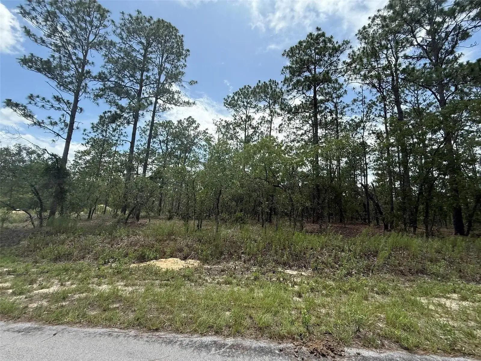 Tbd NW Tree Top Road, FL 34431 photo 3