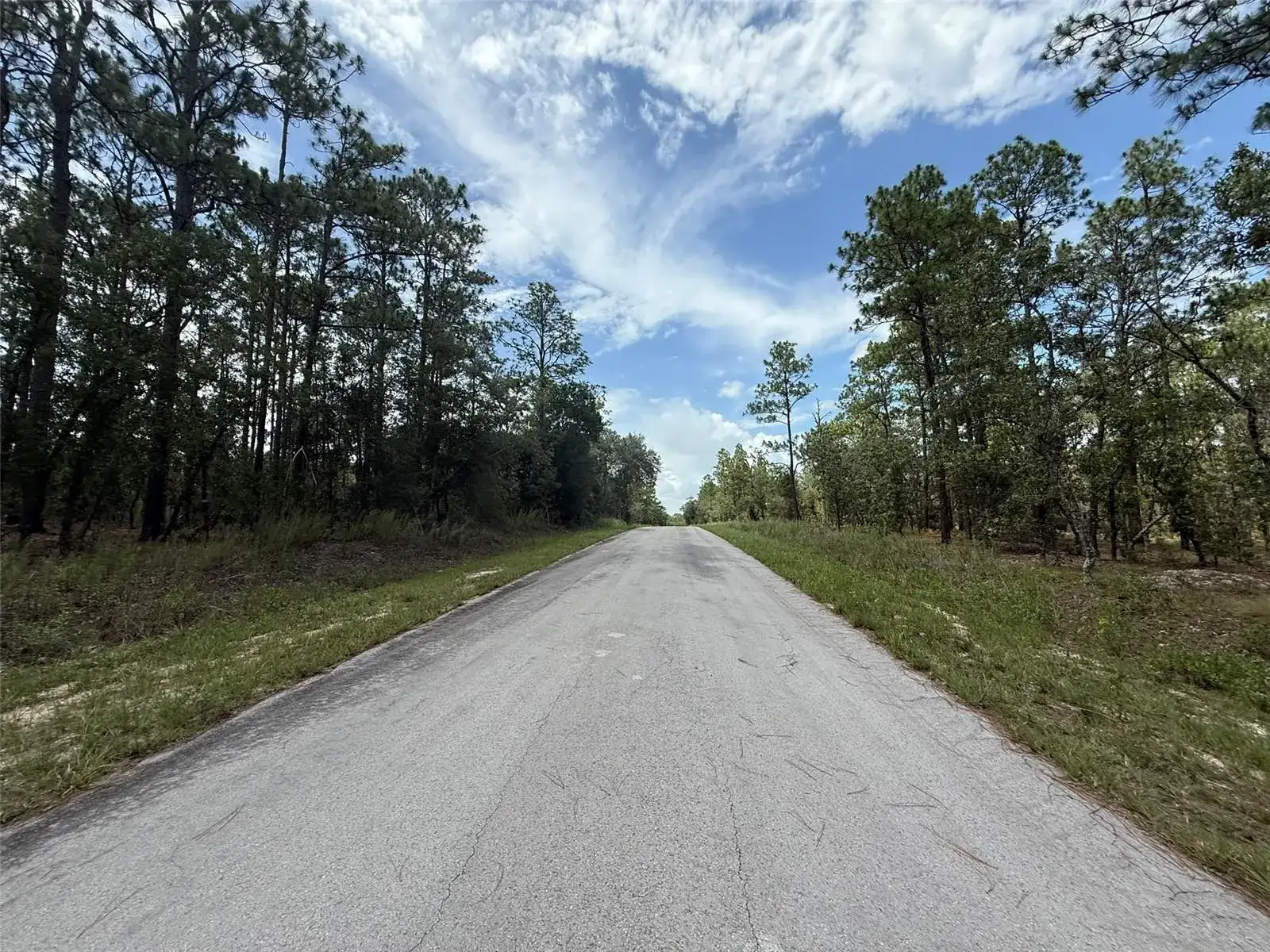 Tbd NW Tree Top Road, FL 34431 photo 4