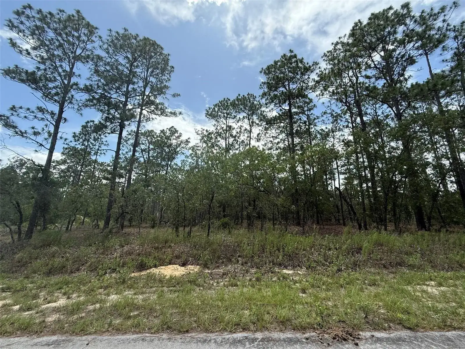 Tbd NW Tree Top Road, FL 34431 photo 5