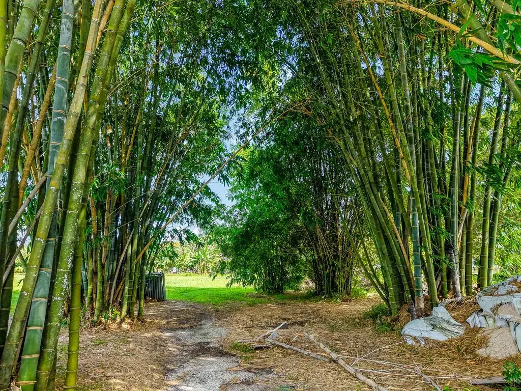 6250 SW 180TH Terrace, Southwest Ranches FL 33331