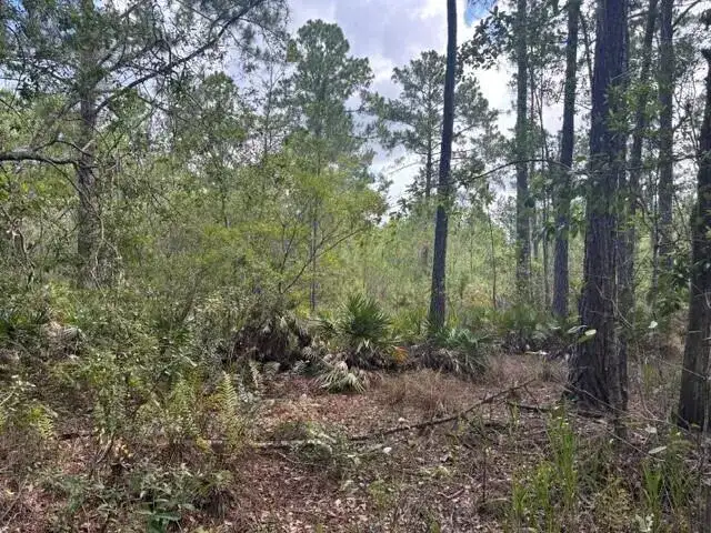 0 water Road, Clermont FL 33868 photo 2