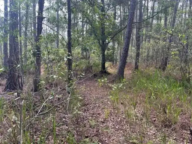 0 water Road, Clermont FL 33868 photo 3