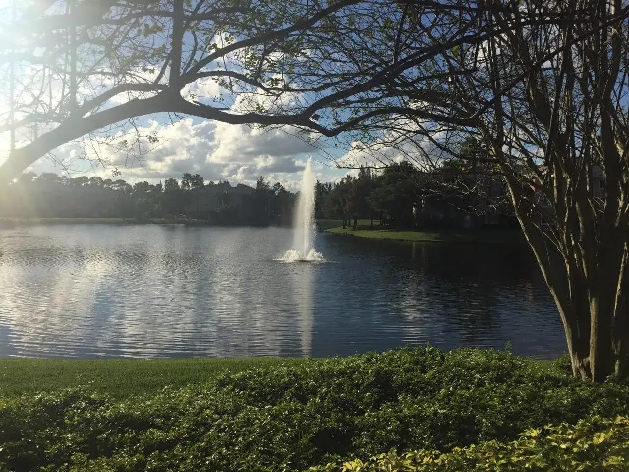 4163 N Haverhill Road # 1217, West Palm Beach FL 33417