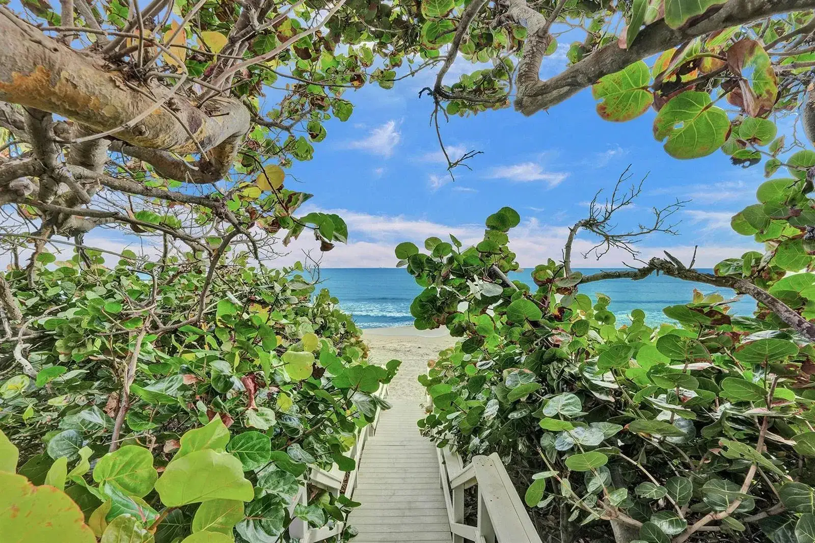 3606 S OCEAN Boulevard # 603, Highland Beach FL 33487 photo 3