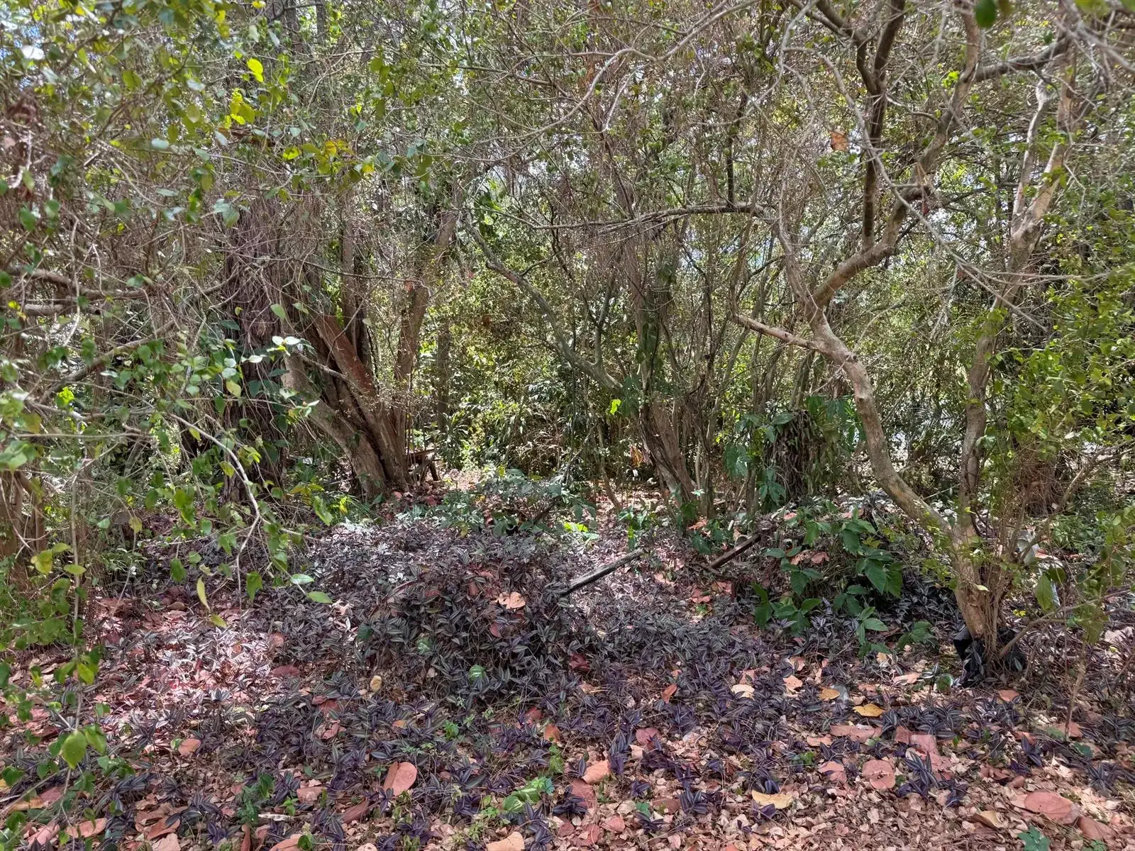 3358 S Jog Road, FL 33467 photo 2