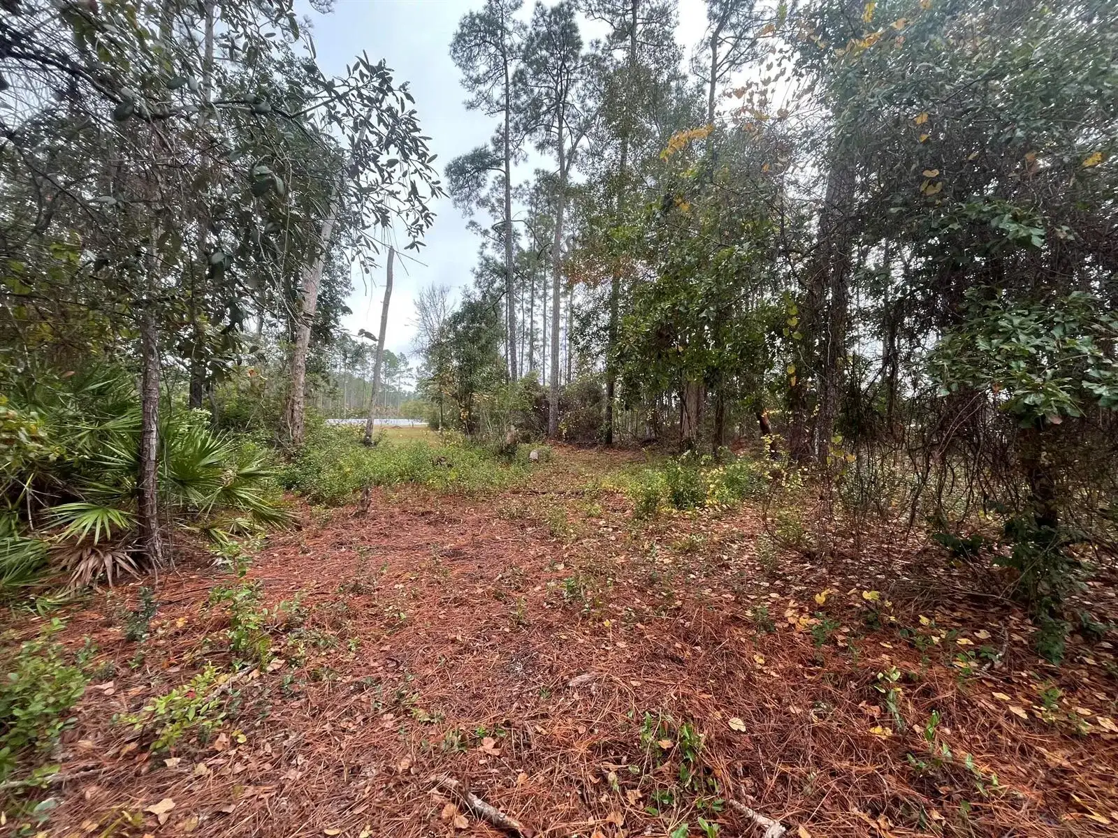 Tbd susan Street, FL 32148 photo 2