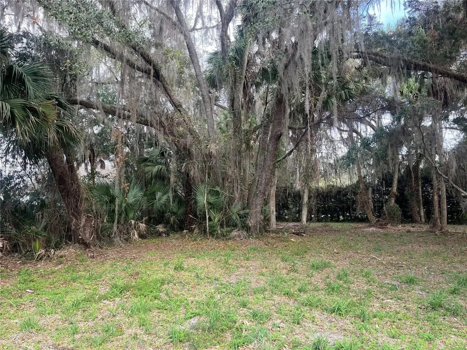 0 SE 183rd Avenue, FL 32640 photo 3