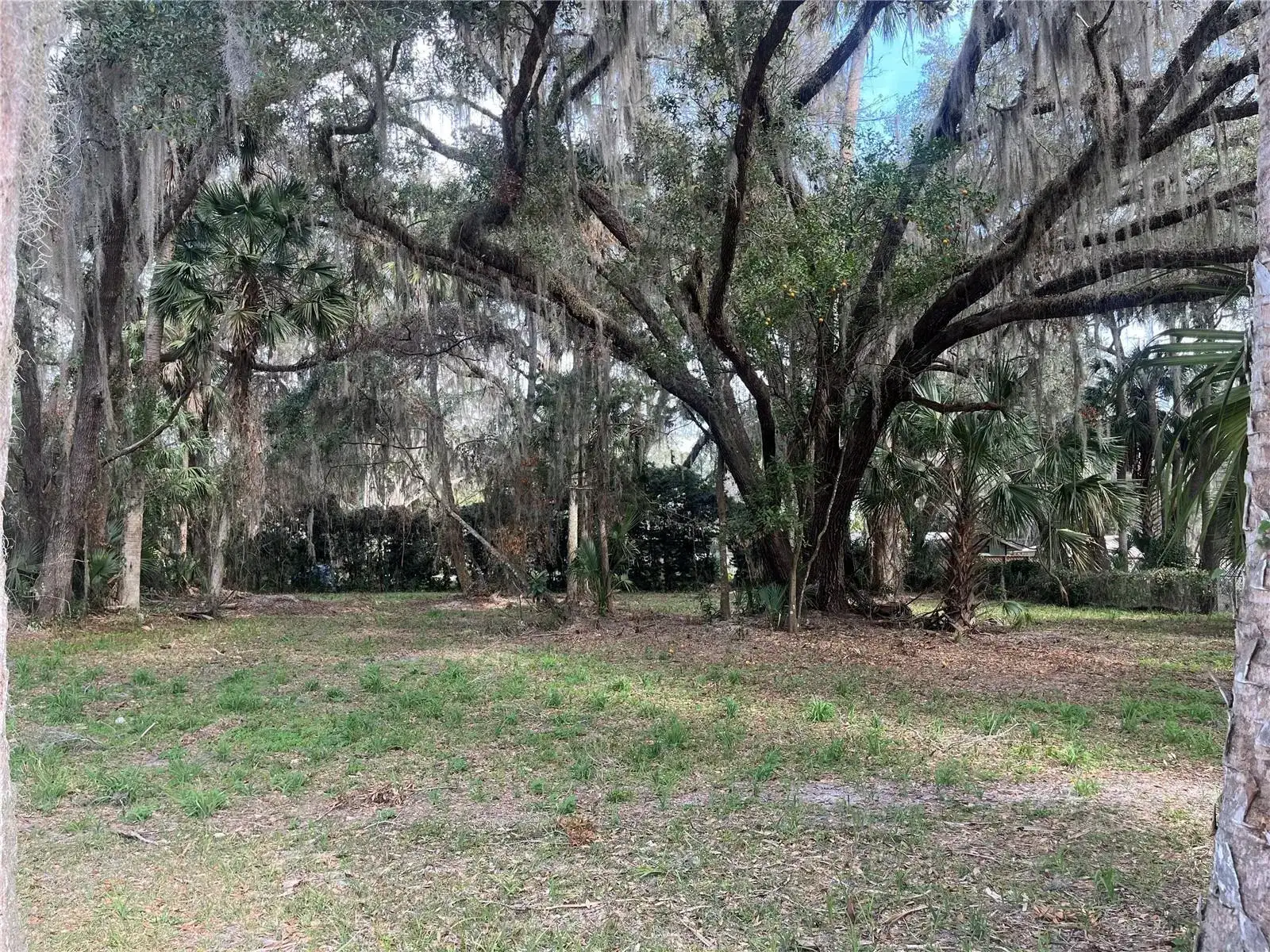 0 SE 183rd Avenue, FL 32640 photo 5