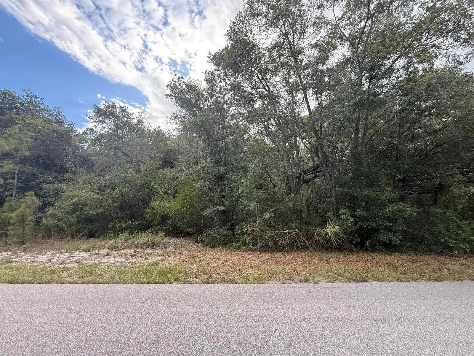 1012 Wildflower Street, Lake Placid FL 33852