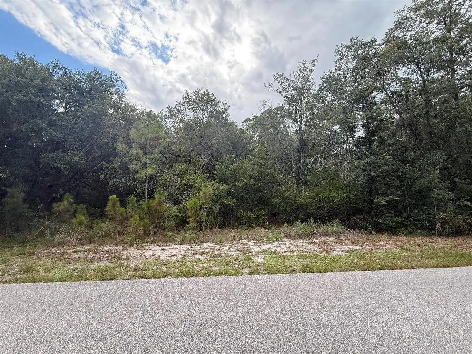1012 Wildflower Street, Lake Placid FL 33852 photo 2