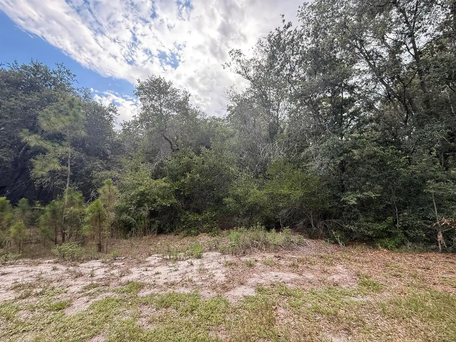 1012 Wildflower Street, Lake Placid FL 33852 photo 3