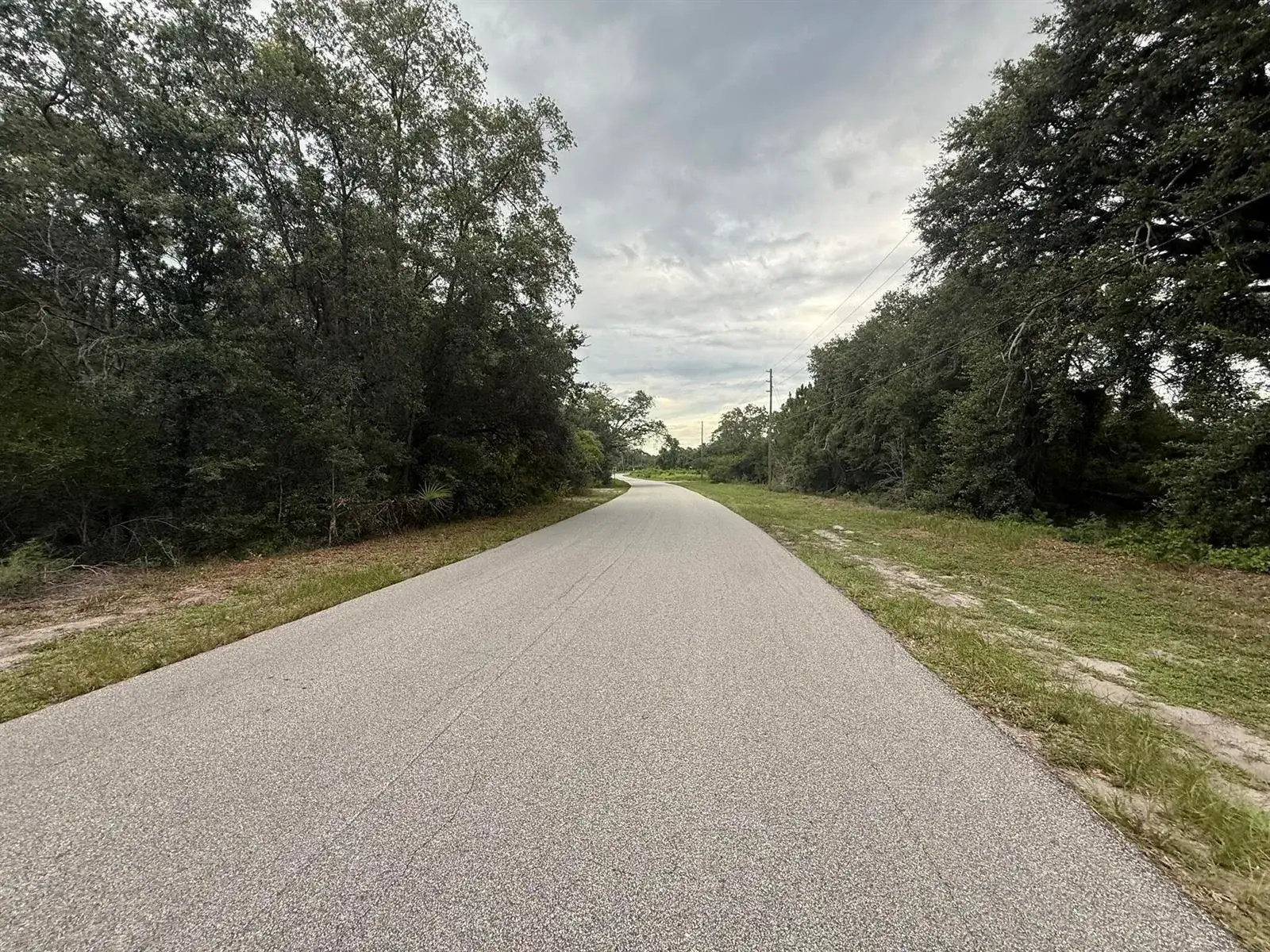 1012 Wildflower Street, Lake Placid FL 33852 photo 4