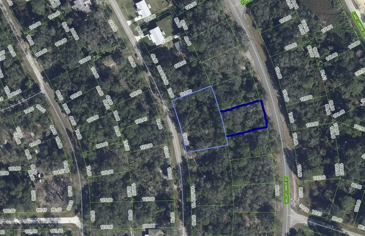 1012 Wildflower Street, Lake Placid FL 33852 photo 5