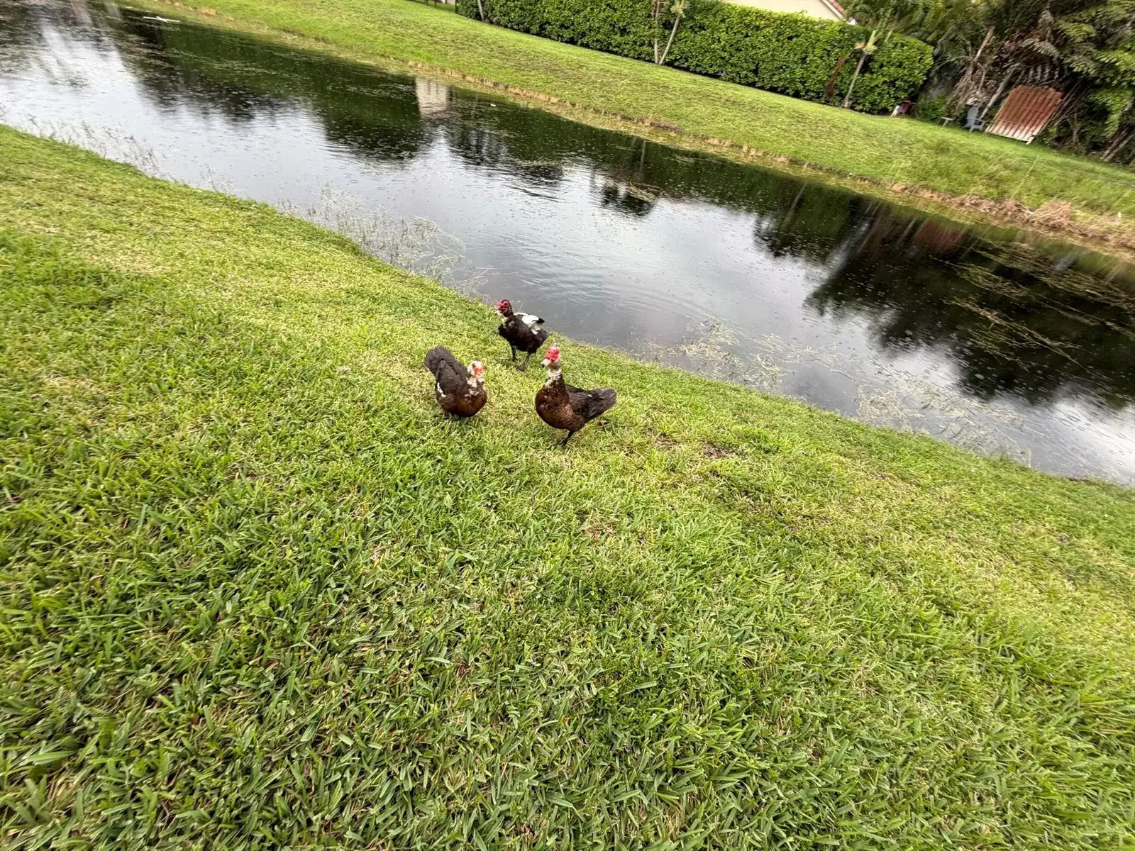 10730 ROYAL PALM Boulevard # 3, Coral Springs FL 33065 photo 4