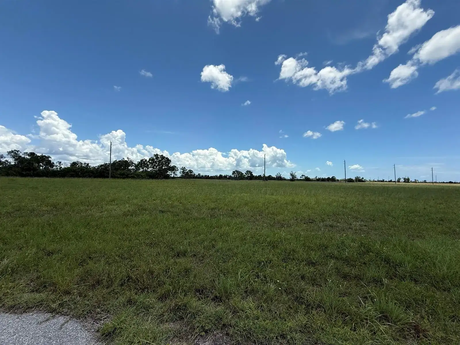 12439 GREENLING Way, FL 33953 photo 2