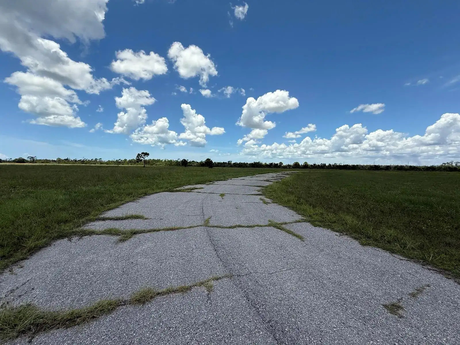 12439 GREENLING Way, FL 33953 photo 3