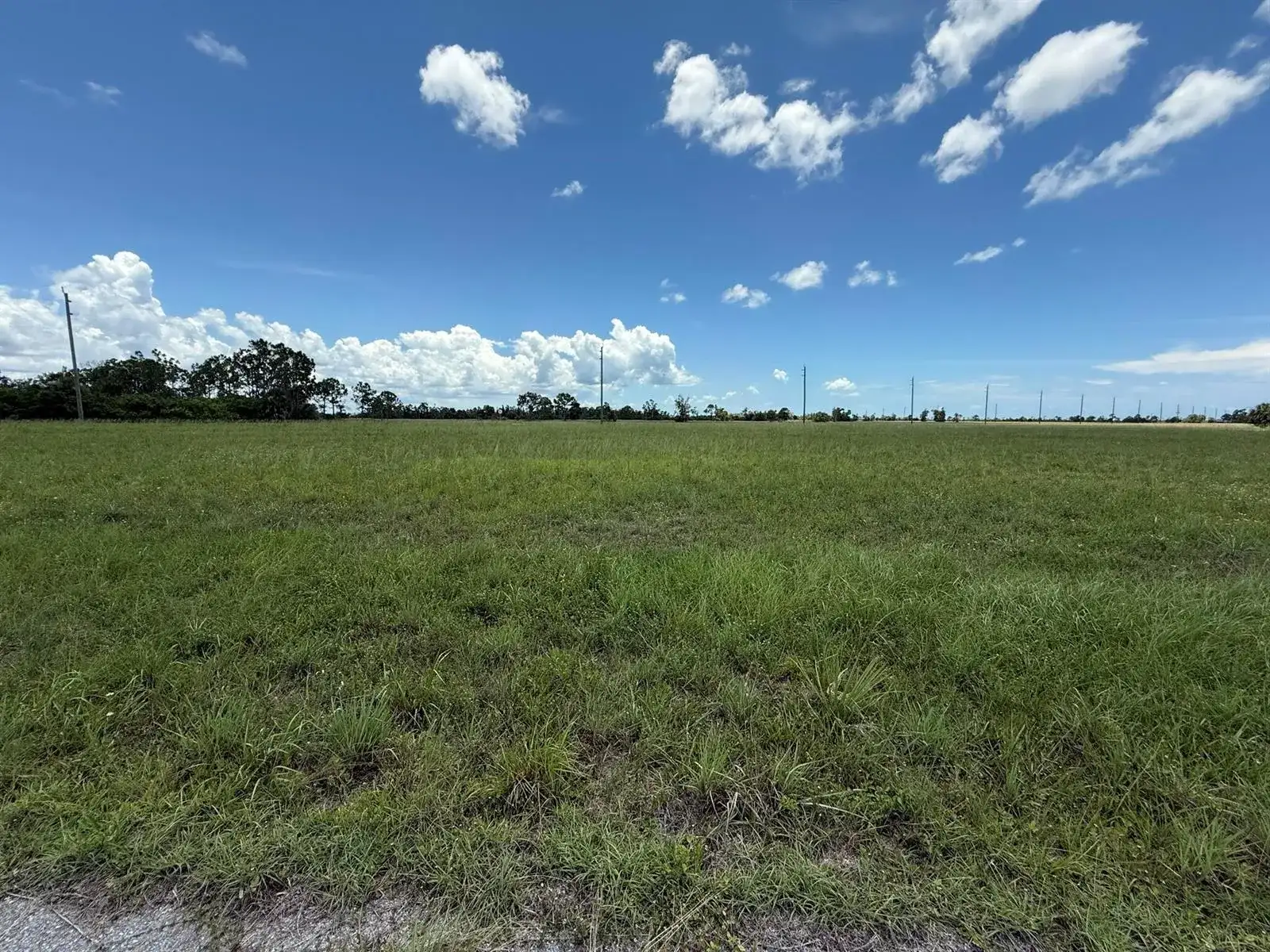 12439 GREENLING Way, FL 33953 photo 4