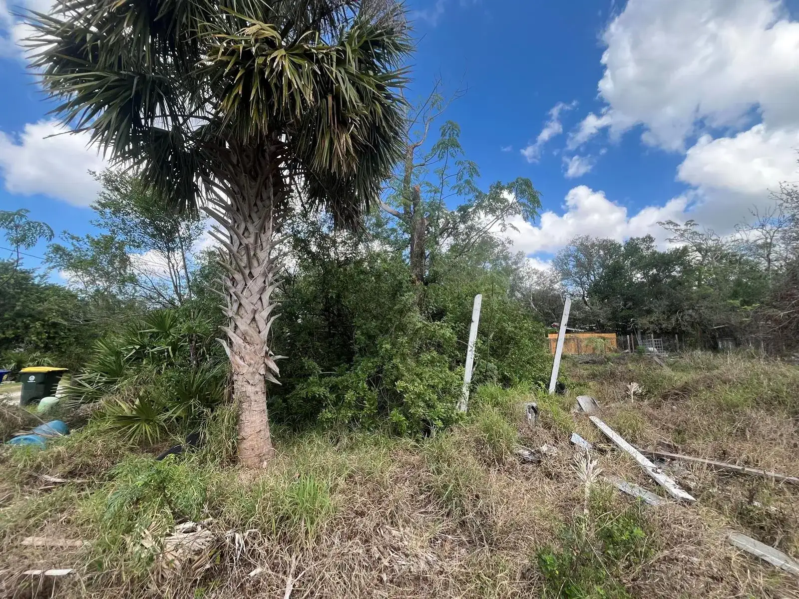 3608 Smithtown Road, Sebring FL 33876 photo 2