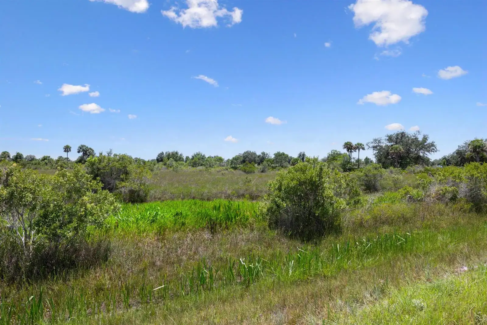 14932 NW 280TH Street, Okeechobee FL 34972 photo 5