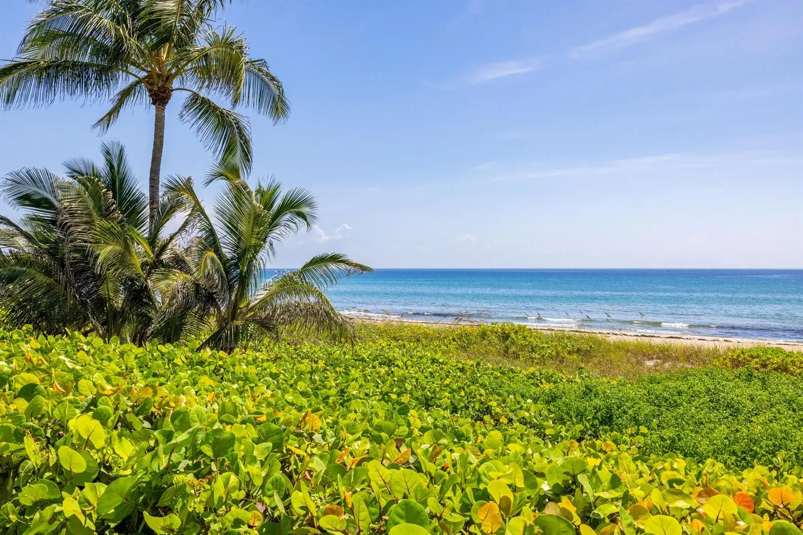 2565 S Ocean Boulevard # 103N, Highland Beach FL 33487 photo 4