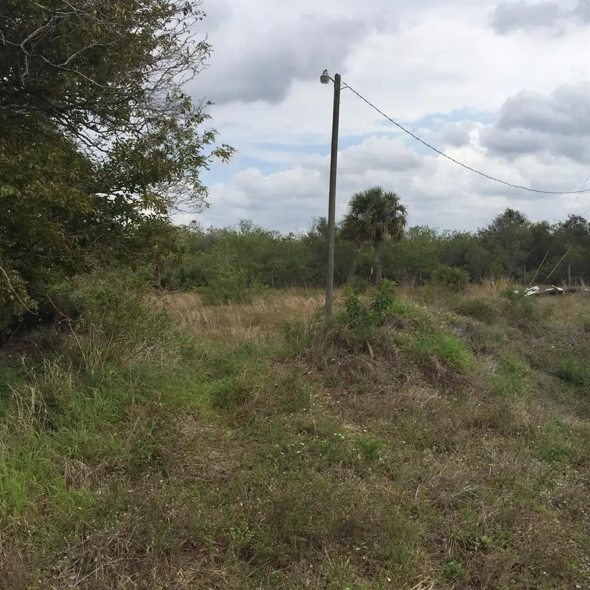 20636 LOUISE Street, Loxahatchee FL 33470