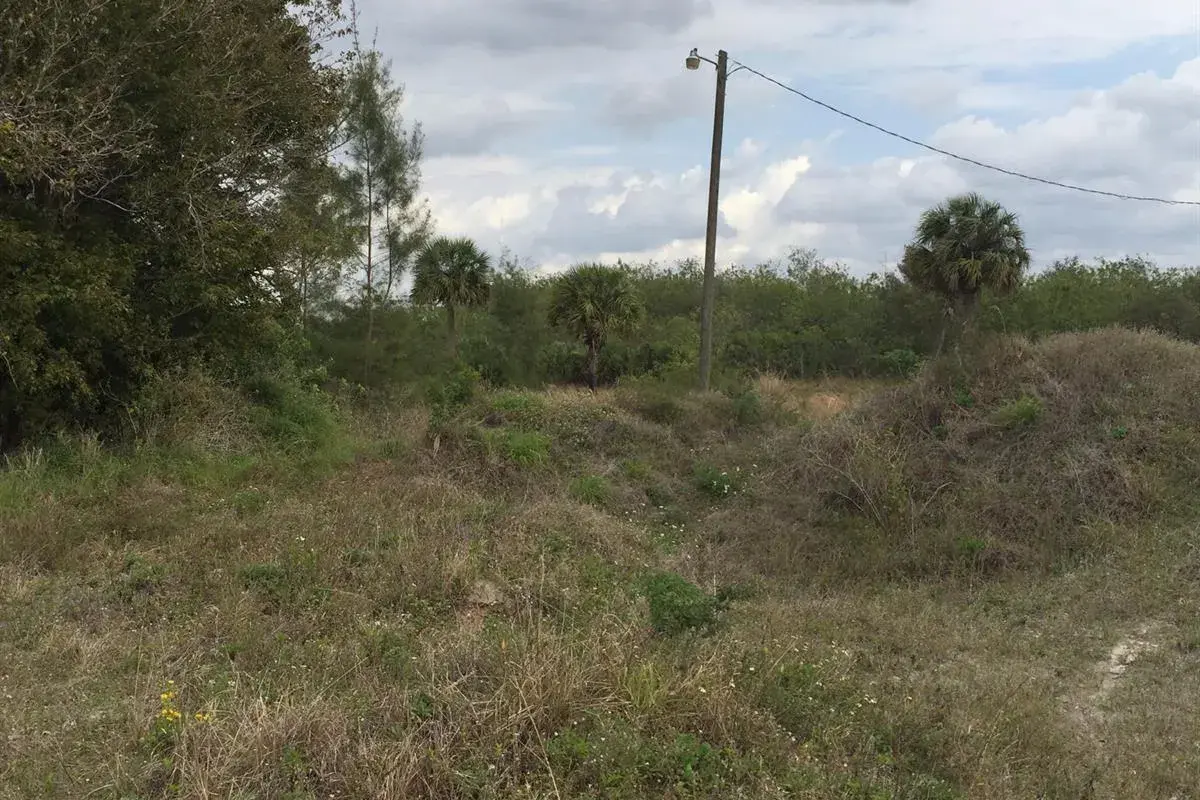 20636 LOUISE Street, Loxahatchee FL 33470