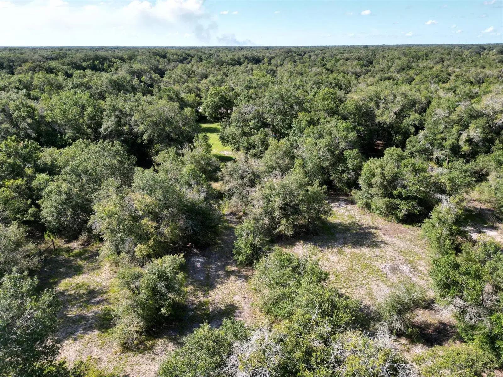21496 NW 256TH Street, Okeechobee FL 34972 photo 5