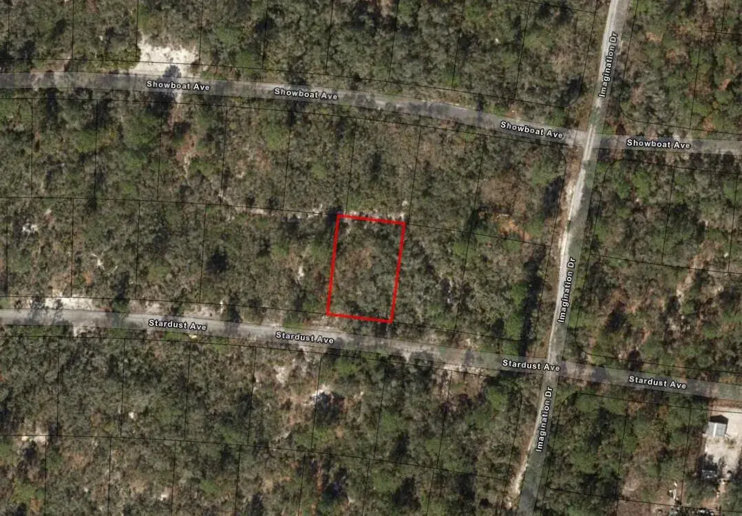336 Stardust Avenue, Lake Placid FL 33852