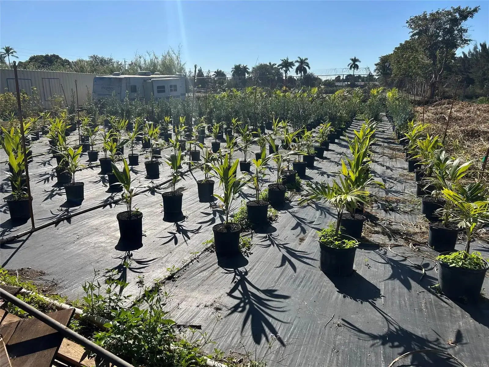 5225 SW 210th Terrace, Southwest Ranches FL 33332 photo 2