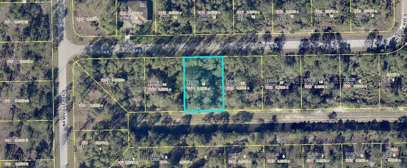 1214 Raphia Street E, Lehigh Acres FL 33974